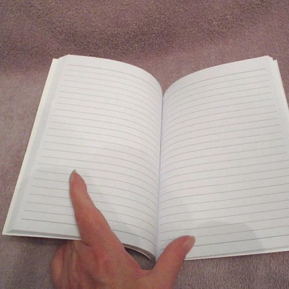 Central 23 Blank Swiftie Fan Journal Diary Song Writing Notebook Lined Lover NEW